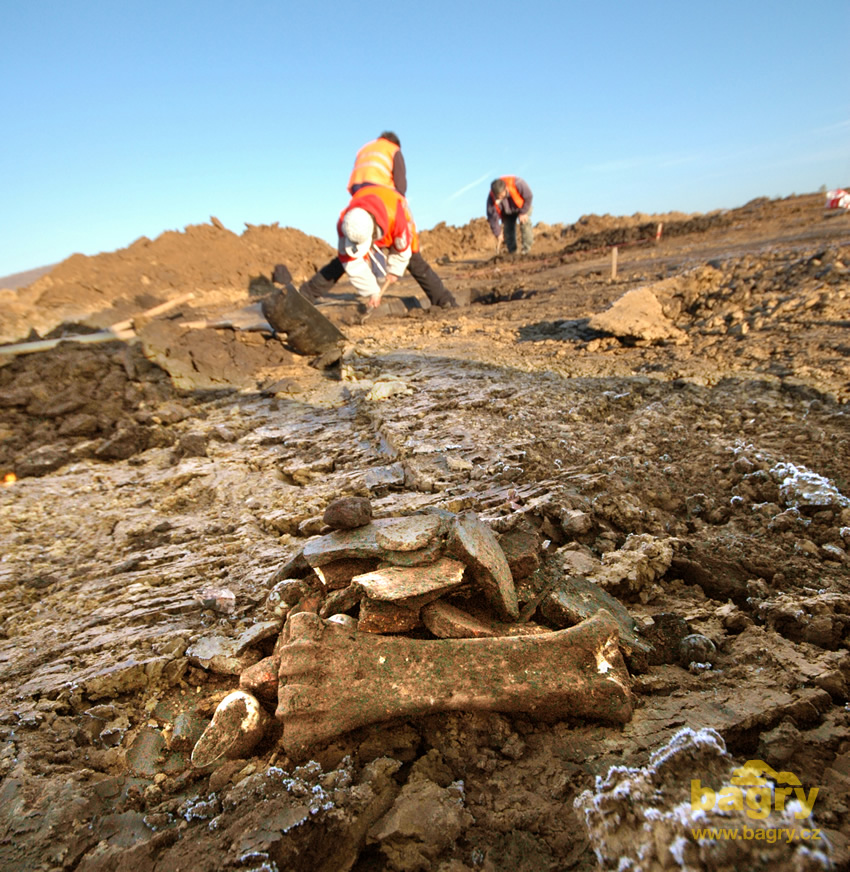 Archeologický průzkum, v popředí nalezené střepy z doby bronzové a železné